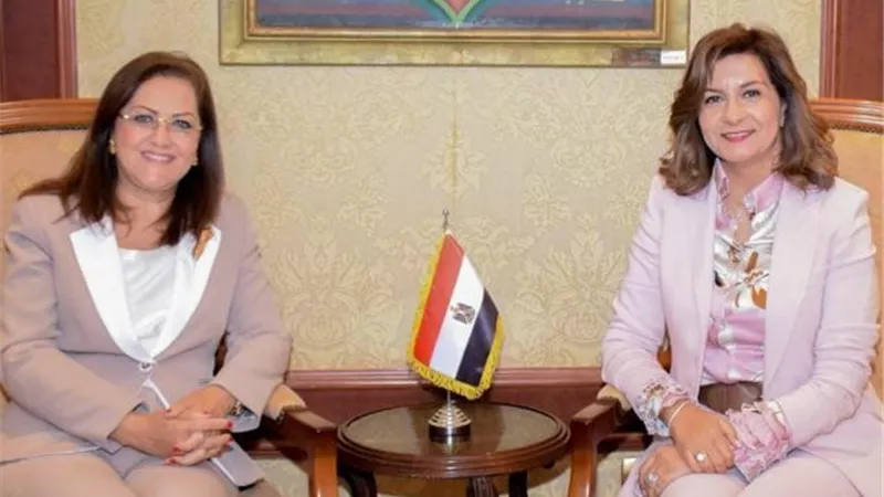 استمارة بيانات للعالقين بالخارج لدمجهم في عملية التنمية