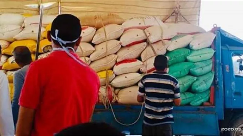 توريد 154593 طن قمح بكفر الشيخ