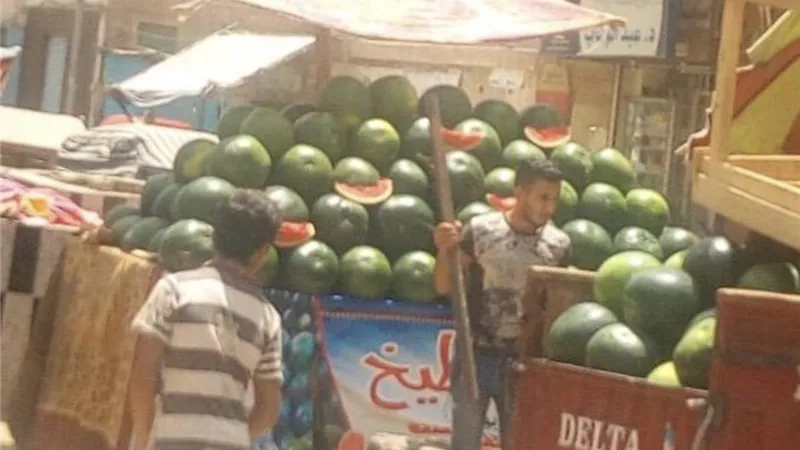 محافظ الغربية : حملات مكثفة لرفع الاشغالات .. وتحرير 11 محضر للمخالفين بمدينة السنطة