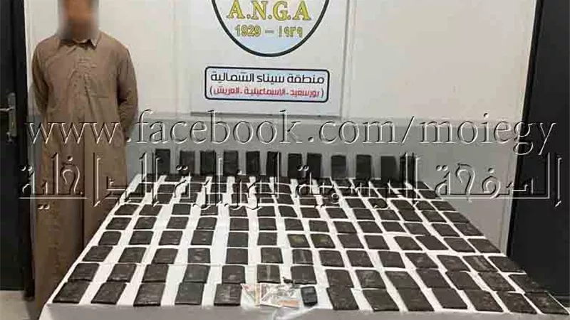 ضبط 240 طربة حشيش بـ مليون وستمائة وثمانون ألف جنيه بالإسماعيلية