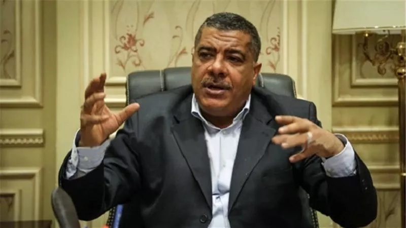 نائب: الدولة تعمل على تطوير القطاع العام وليس تصفيته على الإطلاق