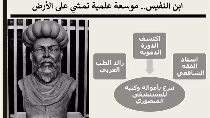 ابن النفيس مكتشف الدورة الدموية .. موسعة علمية تمشي على الأرض