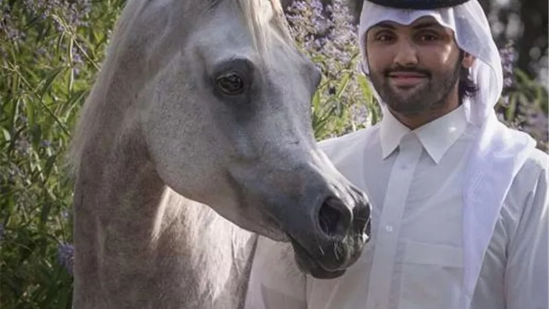 أحمد عبدالله: مصر جديرة بتنظيم مسابقات الفروسية العالمية