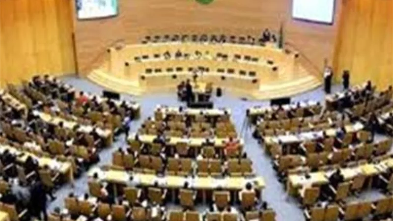 البرلمان الافريقى يدين بشدة التدخلات الاستعمارية التركية فى ليبيا ويطالب قوات الاتحاد الافريقى بالتدخل