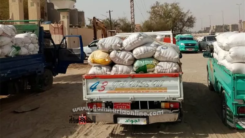 توريد 3022 طن من القمح للصوامع والشون بقنا
