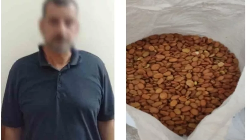امين المخزن اتلف 500 طن فول مدعم ب 10 ملايين جنيه