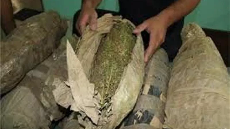سقوط أخطر مروجي المخدرات في الإسماعيلية