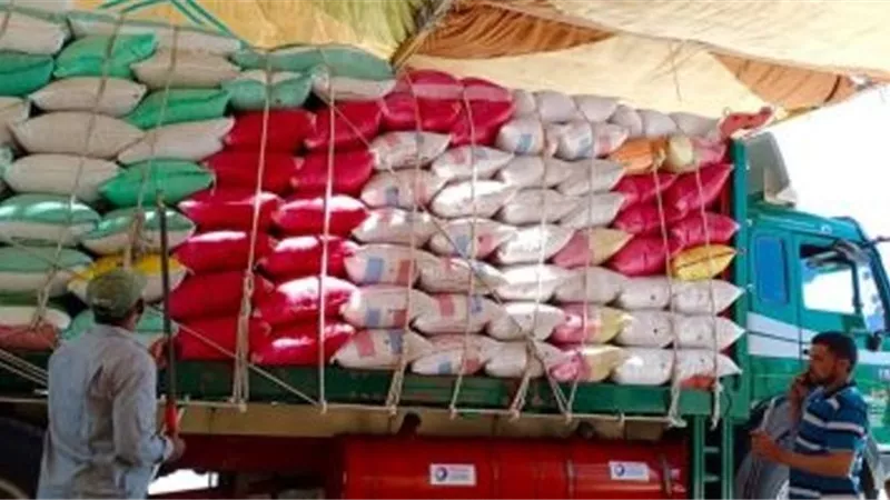 توريد 176 ألف و671 طن قمح بنسبة 88 % ببنى سويف