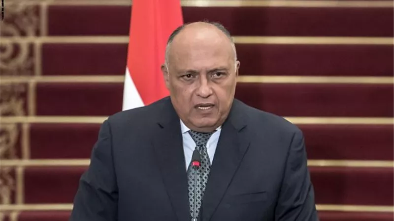 الخارجية: مصر تنضم لنداء عمل دولى للتخفيف من آثار كورونا على مساعدة للمهاجرين