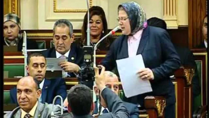 «قاسية وغاية فى الصعوبة».. النائبة شيرين فراج توضح تجربتها مع فيروس كورونا