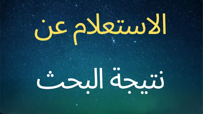 تعرف على نتيجة مشروعات البحث لصفوف النقل بالقاهرة