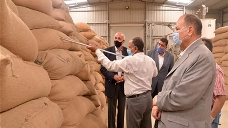 محافظ أسيوط: توريد 122 الف و449 طن قمح للصوامع ومراكز التجميع وحصاد 226 الف فدان حتى اليوم