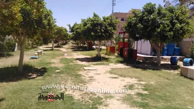 شوارع ومزارات الوادى الجديد خالية من المواطنين التزاما بقرار مجلس الوزراء.. صور