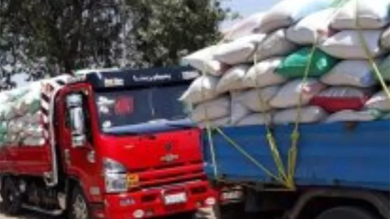 توريد 148089 طنا و235 كيلو من القمح بالقليوبية