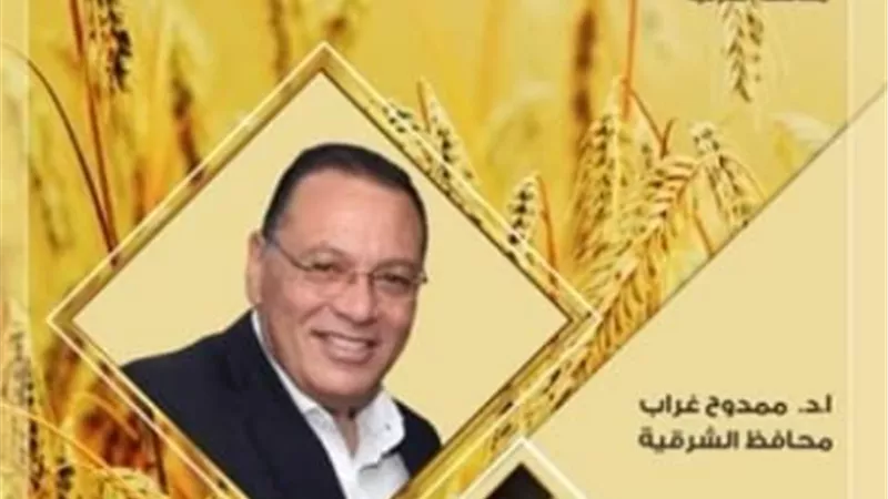 الشرقية على مشارف الإنتهاء من موسم توريد الذهب الاصفر إلى صوامعها