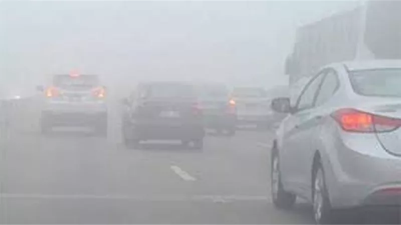 طقس الخميس.. معتدل وشبورة خفيفة صباحا