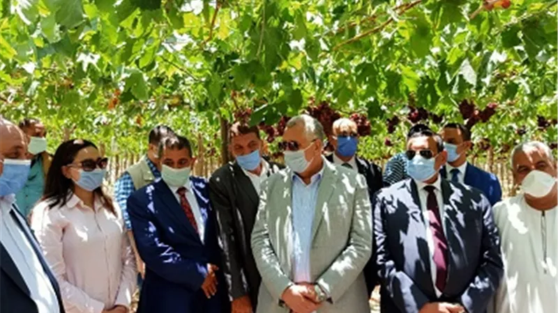 القصير: توجيهات الرئيس السيسى الاهتمام بإستصلاح الأراضى لانتاج المحاصيل الاستراتيجية