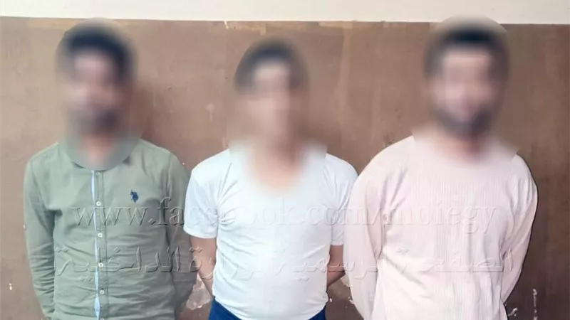 ضبط تشكيل عصابى تخصص فى سرقة الشركات