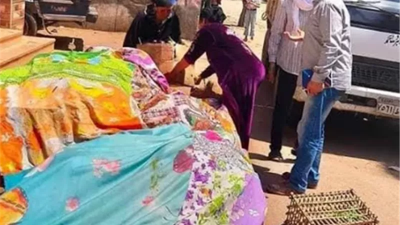 فض سوق قرية كفر منصور بطوخ