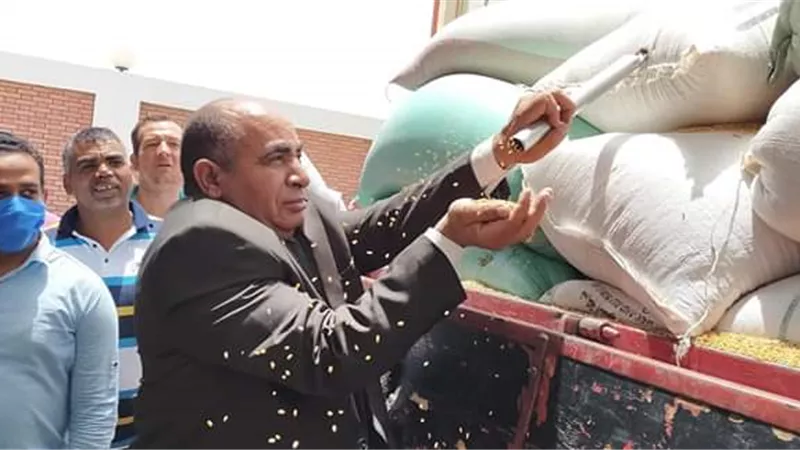 آخر موعد لاستلام قمح المزارعين بصوامع وشون الوادى الجديد..يوليو المقبل