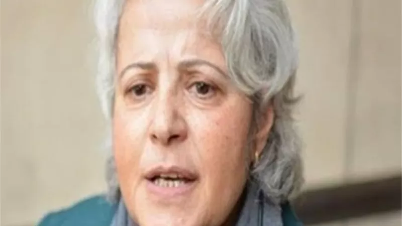 رواد السوشيال ميديا : احذروا منى مينا ..ورقة الاخوان الرابحة لتشويه صورة مصر