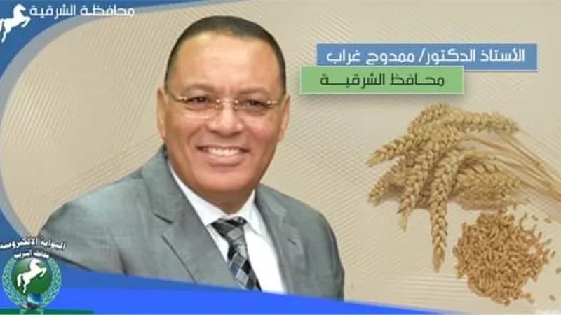صوامع الشرقية تستقبل اليوم 2271 طنا و164 كيلو من الذهب الاصفر