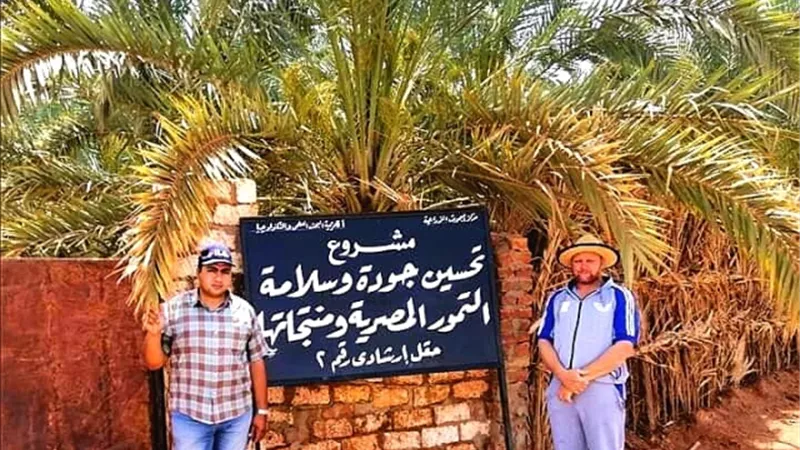 حقول إرشادية لمكافحة آفات النخيل بالوادى الجديد