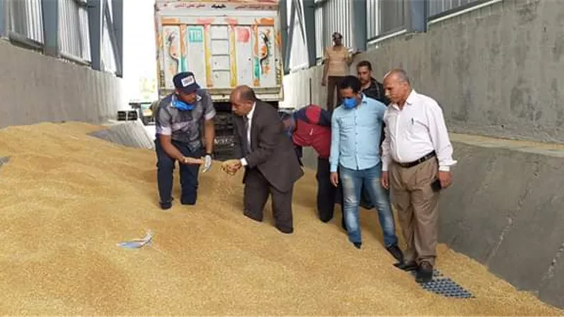 صوامع الوادى الجديد تستقبل 205 ألف طن اقماح عالية الجودة لهذا العام