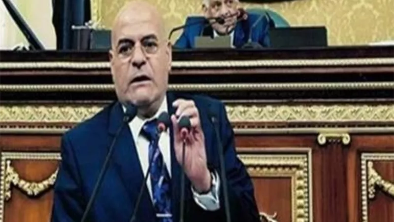 النائب فايز بركات: الدولة المصرية ترجمت دعمها المادي والمعنوي لبطولات الفرق الطبية على أرض الواقع