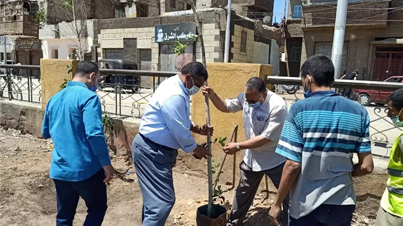 سكرتير مساعد أسيوط يترأس حملة للتشجير والتجميل.. صور