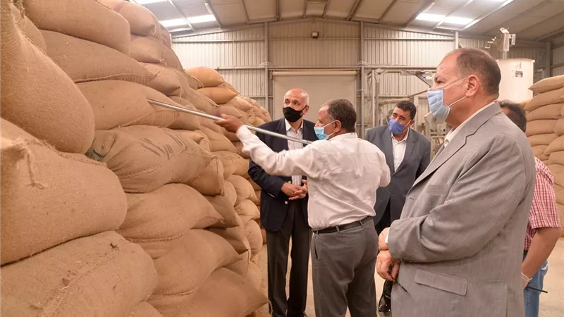 محافظ أسيوط: توريد 151 ألف و751 طن قمح وحصاد 226 ألف فدان حتى اليوم