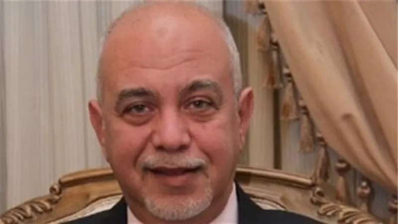مساعد رئيس الوفد: معاملة الأطباء كشهداء الجيش والشرطة كان ضروري لدعمهم في مواجهة كورونا