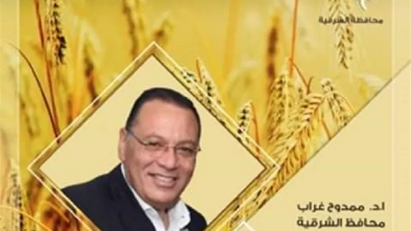 صوامع وشون الشرقية تستقبل 1318 طنا من الذهب الأصفر اليوم