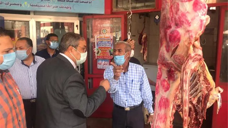 بالصور .. حماية المستهلك باسيوط يضبط لحوم وأسماك وملوحة فاسدة بقرية مشهورة