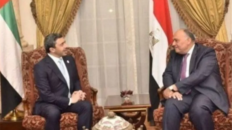 مصر والإمارات ترحبان بإعلان الأمم المتحدة قبول الأطراف الليبية استئناف مفاوضات وقف إطلاق النار