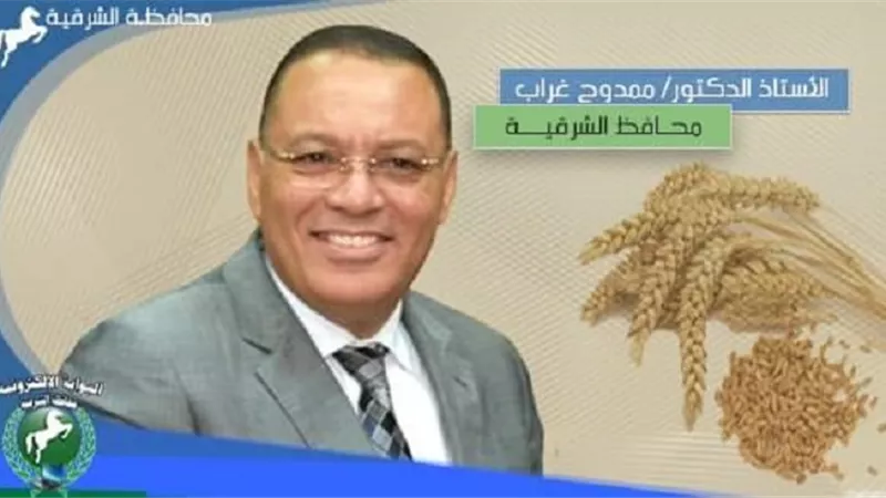 توريد 976 طنا من سنابل الخير لصوامع وشون الشرقية