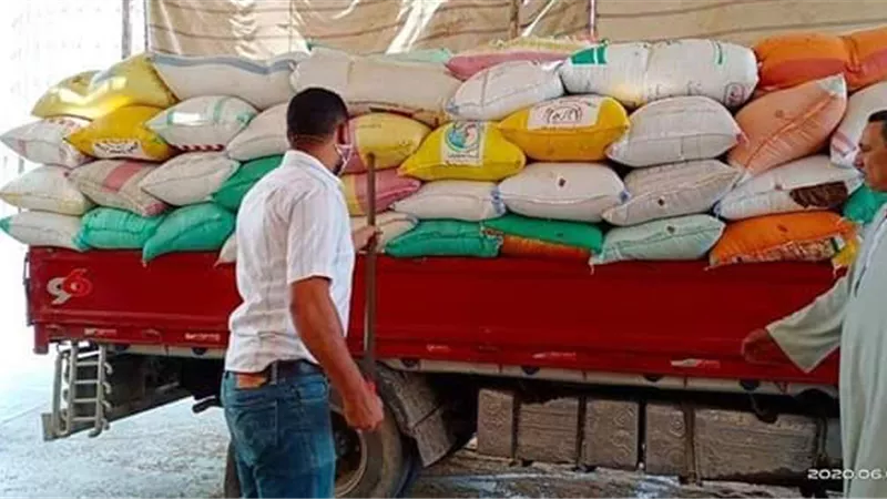 توريد 172822 طن قمح بكفر الشيخ
