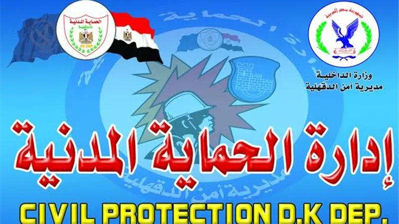 نفوق 4500 دجاجة فى حريق مزرعة بالدقهلية