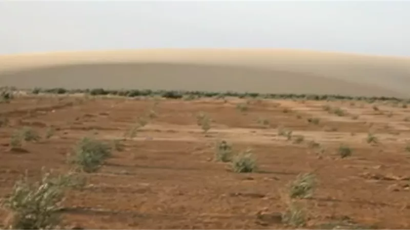 مزارعو بئر العبد ورابعة يتقدمون لوزير الزراعة بـ ٦ مطالب لأستكمال الزراعة بأراضى شمال سيناء.. فيديو