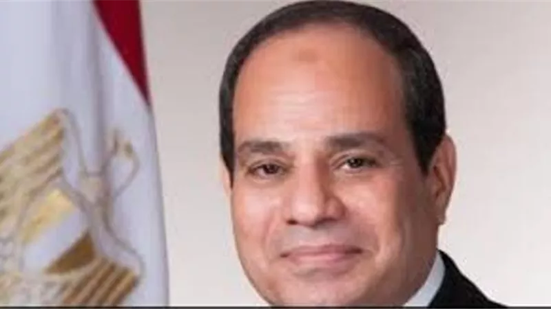 السيسى يحذر من التمسك بالخيار العسكرى لحل الازمة فى ليبيا