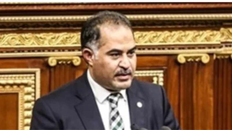 وكيل النواب مبادرة السيسي لتسوية الأزمة الليبية هدفها الحفاظ على المقدرات الليبية لشعبها