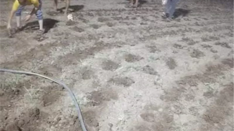 حسام باولو يشارك في تنجيل ملعب مركز شباب صنافير بقليوب