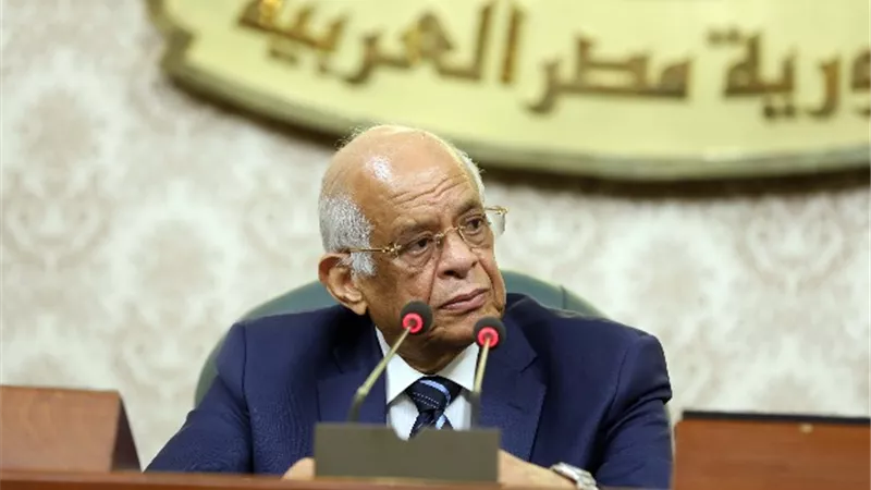 عبدالعال: قانون 