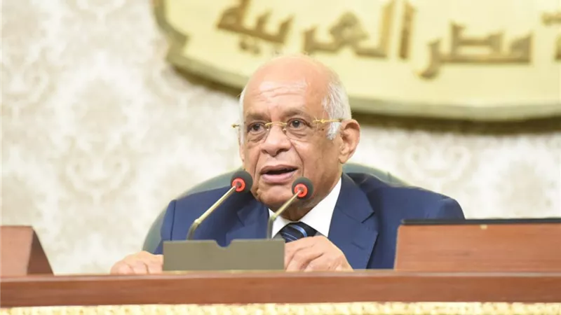 البرلمان يوافق على الخطابات المتبادلة بين الحكومتين المصرية والكورية