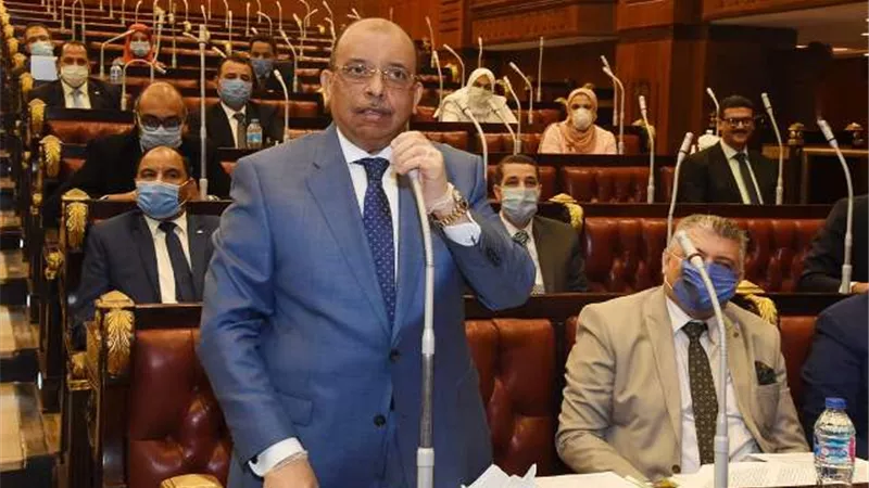 بحضور شعراوي.. انتقادات لاذعة بمحلية النواب لقرار وقف أعمال البناء: