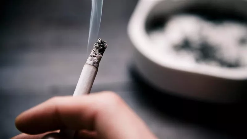 رئيس شعبة الدخان يكشف حقيقة زيادة أسعار السجائر