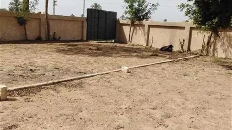 حبس مزارع 4 ايام هدم سور مدرسه ليمر منه ومواشيه لحقله ببنى سويف