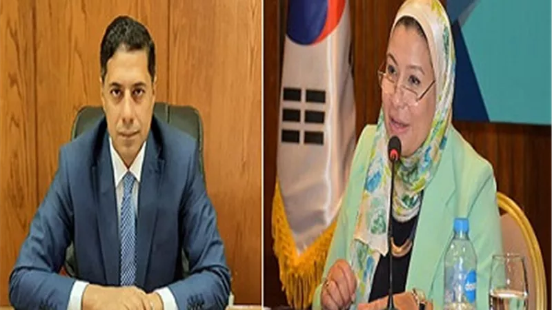 ألسن عين شمس تبدأ سلسلة ورش تدريبية مع منظمة الأمم المتحدة