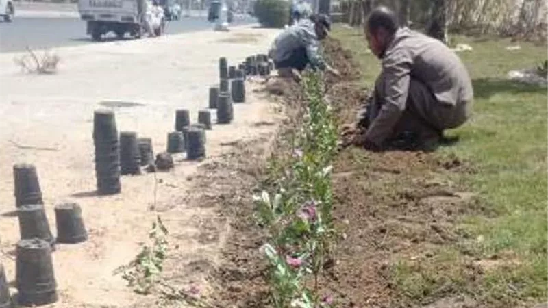 رفع كفاءة الشوارع والميادين بمدينة ٦ أكتوبر