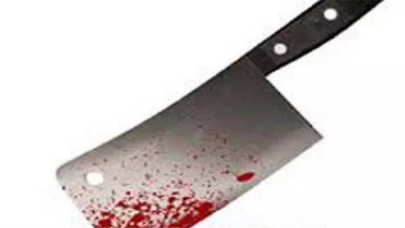 خادمة تطعن طفلين بالساطور ثم تحاول الانتحار